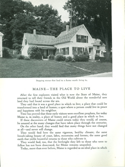 Maine image 6