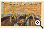 Havana Cigars