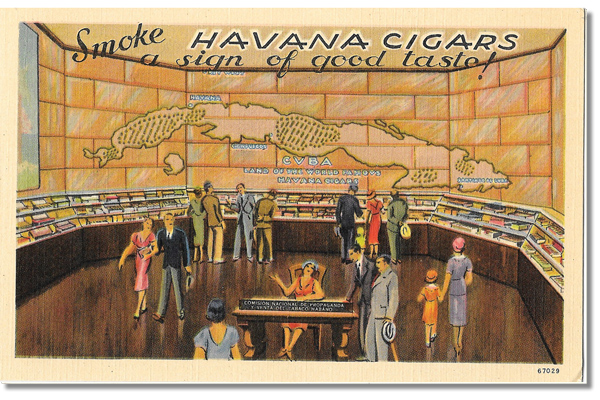 Havana Cigars