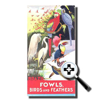 Fowls, birds and feathers Phamplet