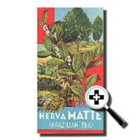 Herva Matte Phamplet