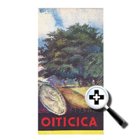 Oiticica Phamplet