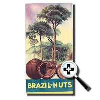 Brazil-Nuts Phamplet