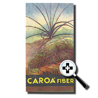 Caroa Fiber Phamplet