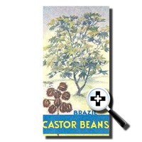 Castor Beans Phamplet