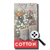 Cotton Phamplet