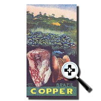 Copper Phamplet