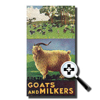 Goats and milkers Phamplet