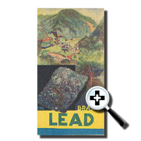 Lead Phamplet