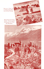 Norway image 6