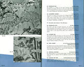 Japanese%20Pavilion%20Booklet image 20