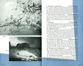 Japanese%20Pavilion%20Booklet image 9