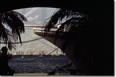 Florida in the Amusement Zone at the 1939 New York World's Fair