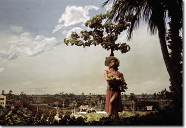 Florida in the Amusement Zone at the 1939 New York World's Fair